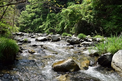 渓流の景色